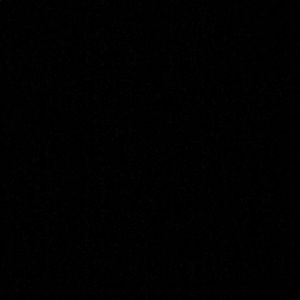 Meet your Posher, Ginger